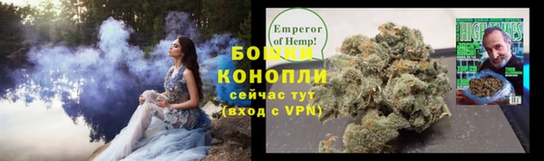 дживик Каменногорск