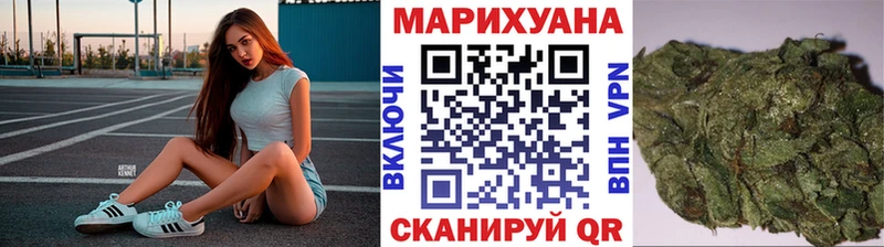 Марихуана сатива  Купить закладки  Петровск 